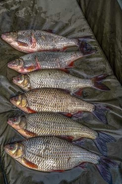 Unhooking Mat Korum Supa Lite Fast Mat XL -Angler’s Cove Outlet Store 3f469879709ae6f5