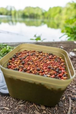 Korum Bait Tub Bait Box -Angler’s Cove Outlet Store df0cfba95550a979