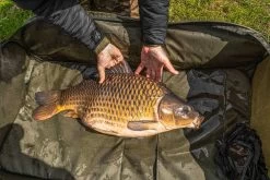 Unhooking Mat Korum Supa Lite Fast Mat XL -Angler’s Cove Outlet Store f37c4577e39a00fb